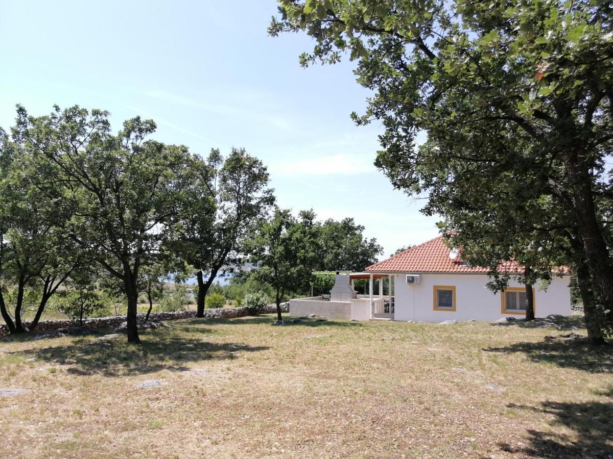 Holiday House Tunjarice オブロヴァツ エクステリア 写真